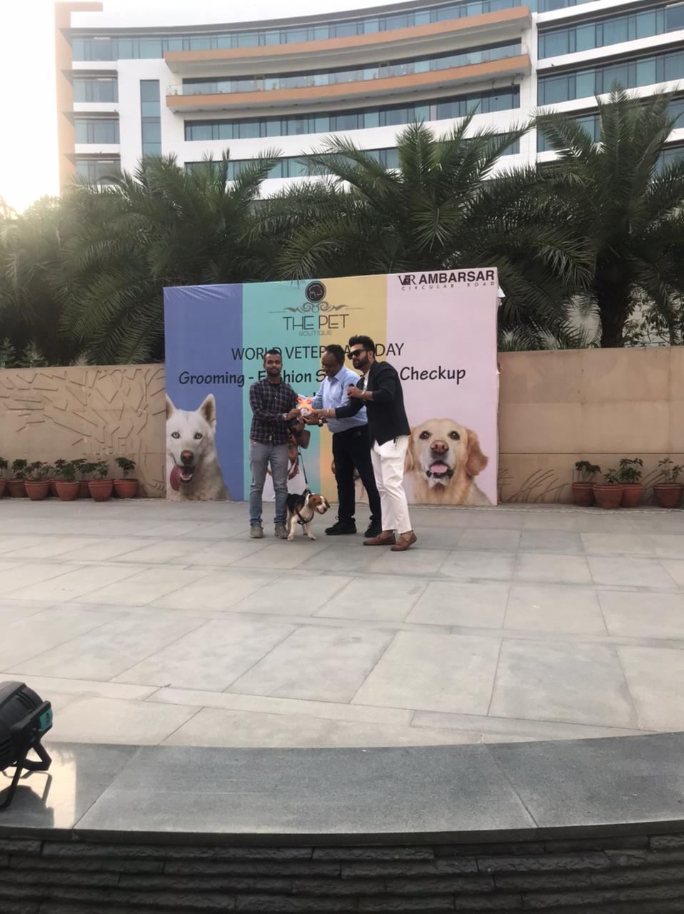 World Veterinary Day